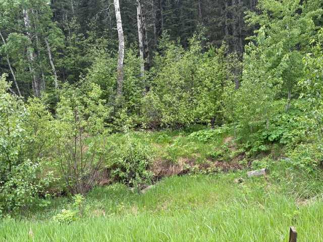 229 Mountain Lion Drive