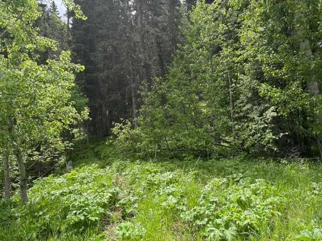 Photo of 229 Mountain Lion Drive, Bragg Creek, AB T0L 0K0 (MLS # A2319927)
