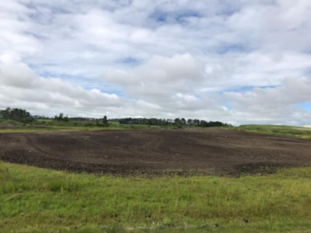 Photo of 9001 90 Street, Sexsmith, AB T0H 3C0 (MLS # A1165121)