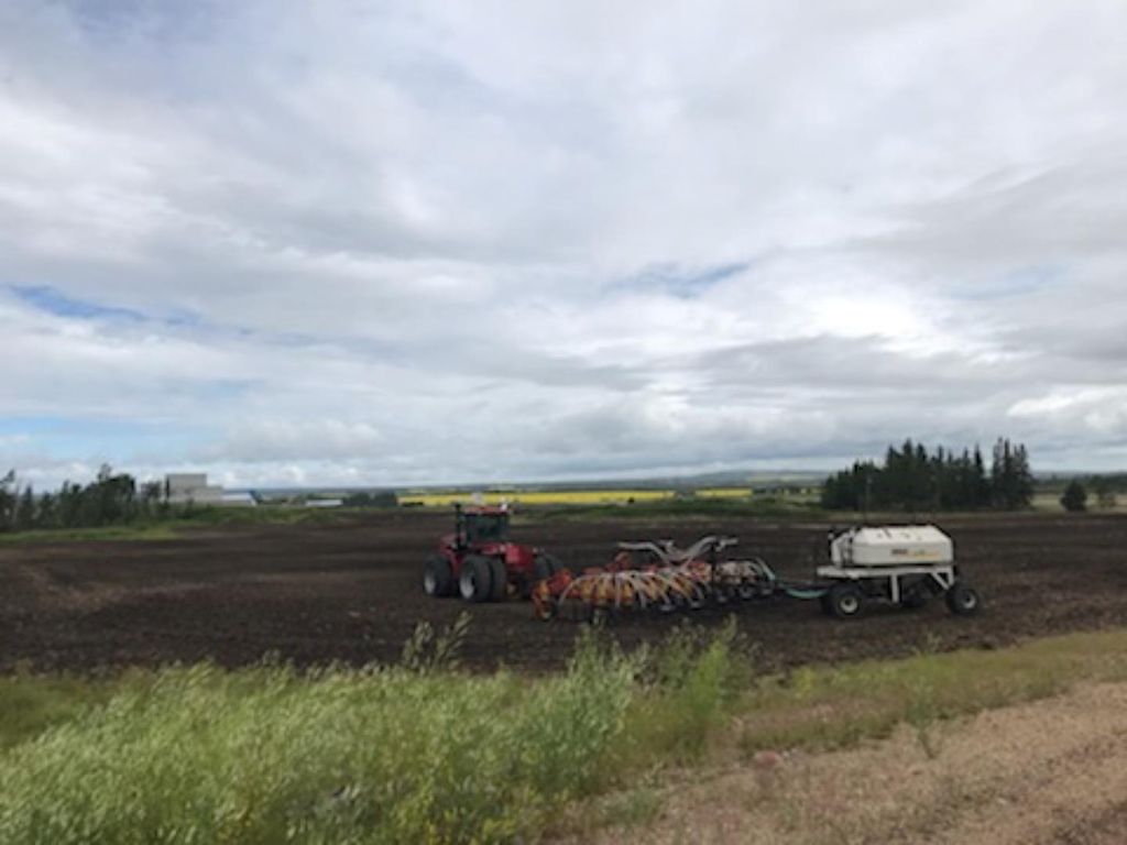 Photo of 9001 90 Street, Sexsmith, AB T0H 3C0 (MLS # A1165121)