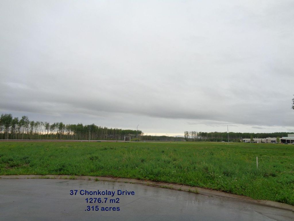 Photo of 37 Chonkolay Drive, High Level, AB T0H 1Z0 (MLS # A1047083)