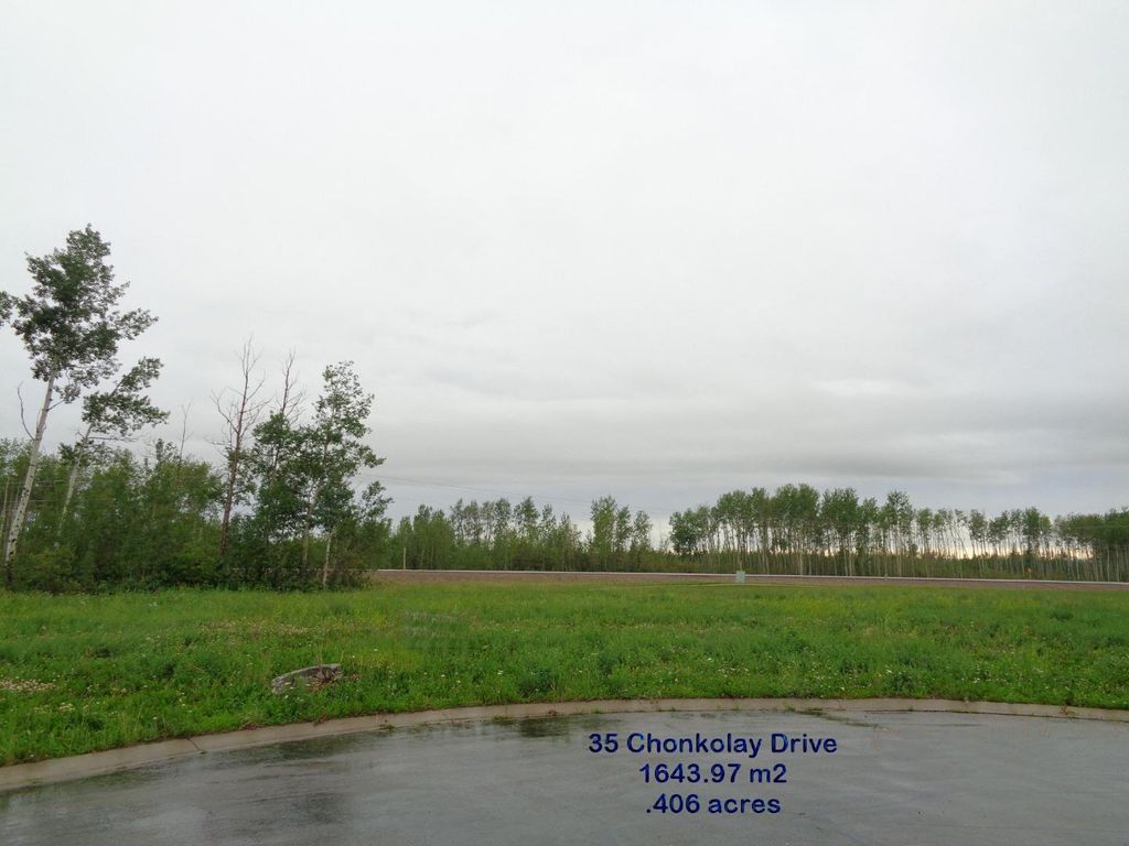 Photo of 37 Chonkolay Drive, High Level, AB T0H 1Z0 (MLS # A1047083)