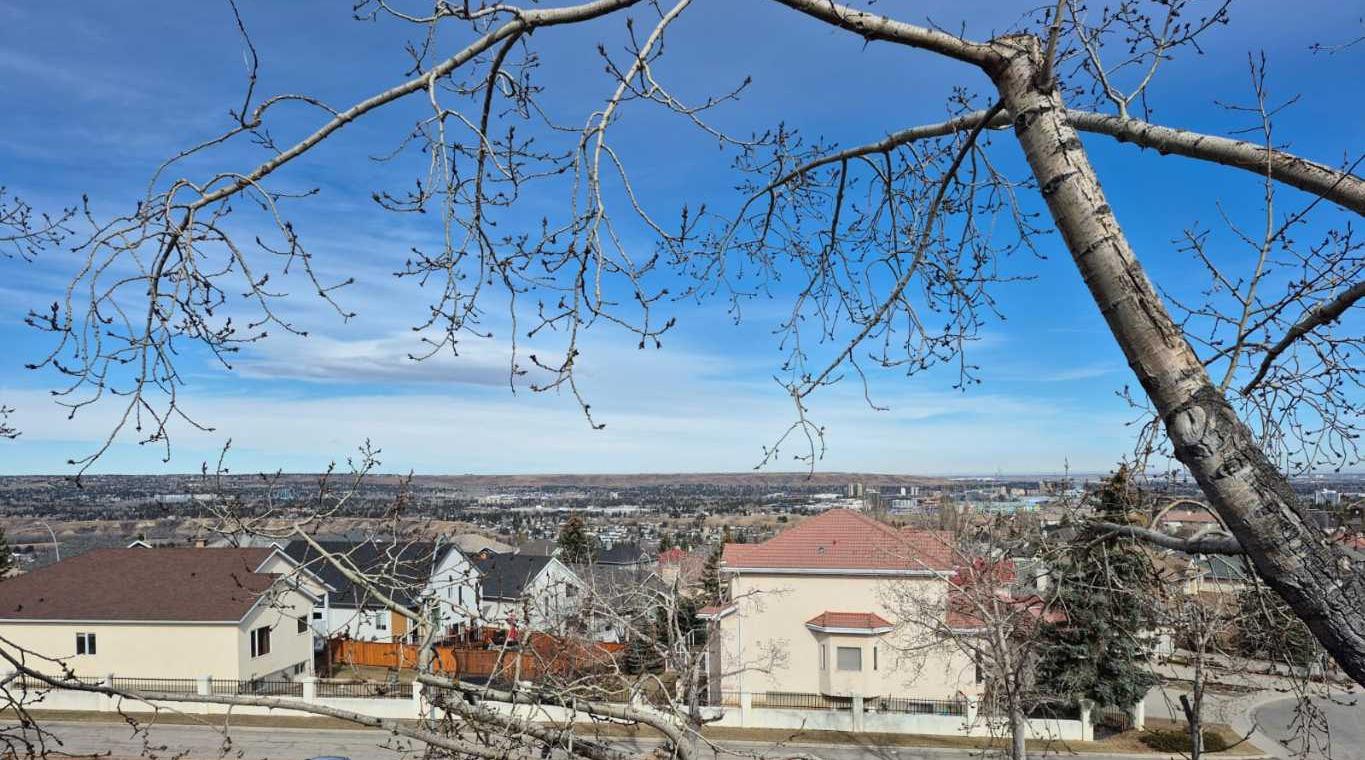 385 Patterson Hill SW 4308