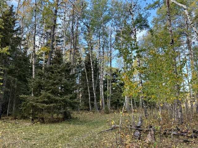 Photo of 32310 Range Road 45, Rural Mountain View County, AB T0M 1X0 (MLS # A2348258)