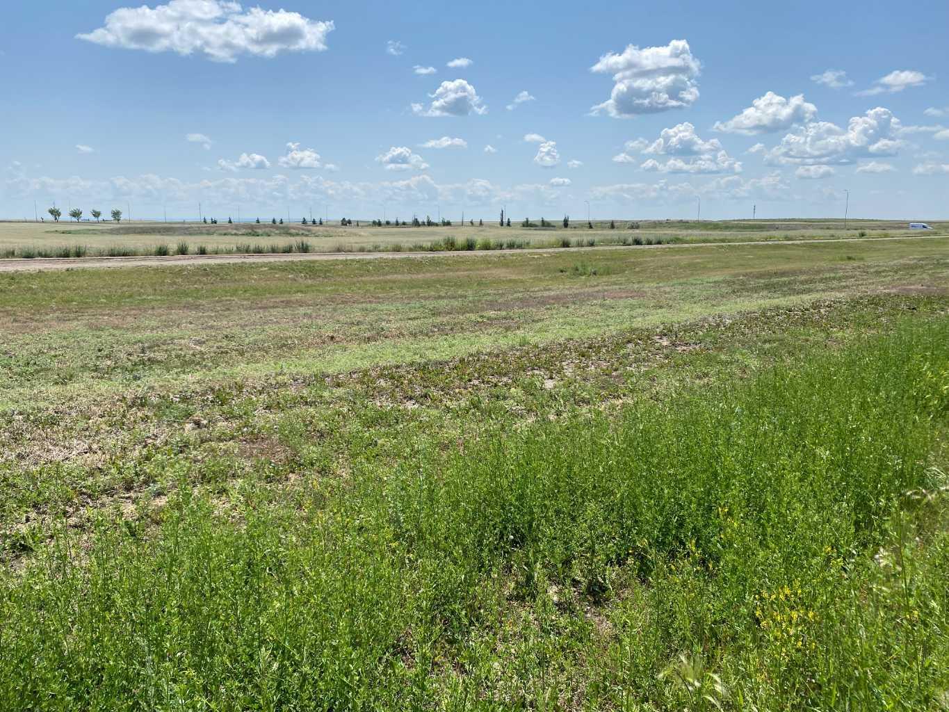 321 Rivergrove Chase W