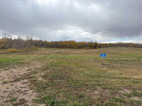 Photo of 29 Hillgreen Drive, Rural, SK S9V 0X7 (MLS # A2351640)