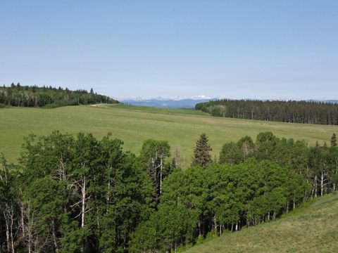 - - Millarville AB T1S 2V7