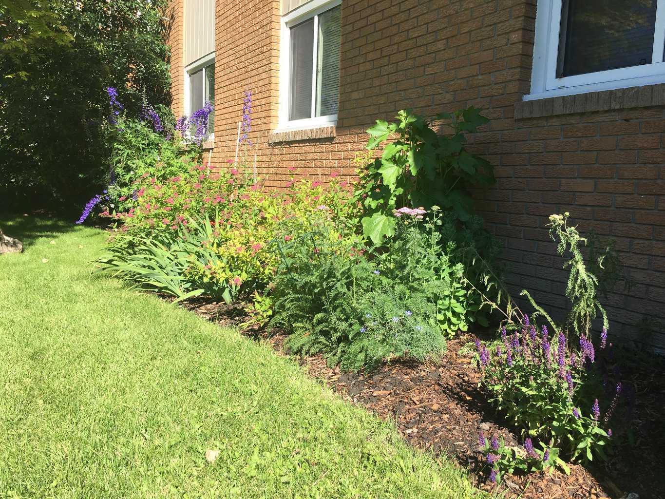 1620 8 Avenue NW 161