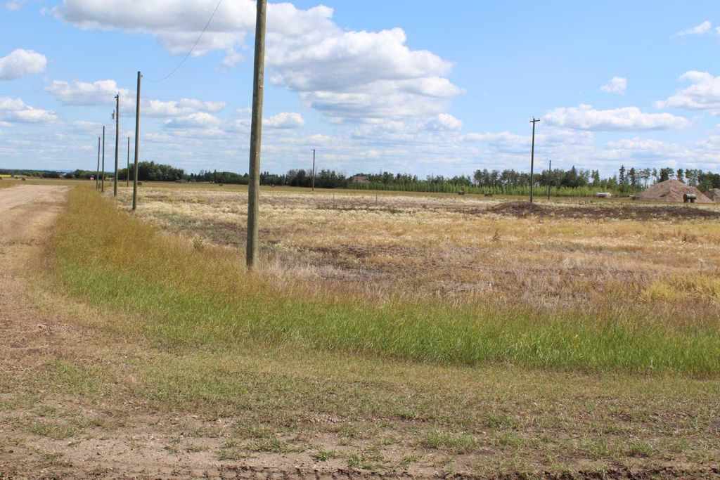 Photo of 903 Main Street, Manning, AB T0H 2M0 (MLS # A2019177)