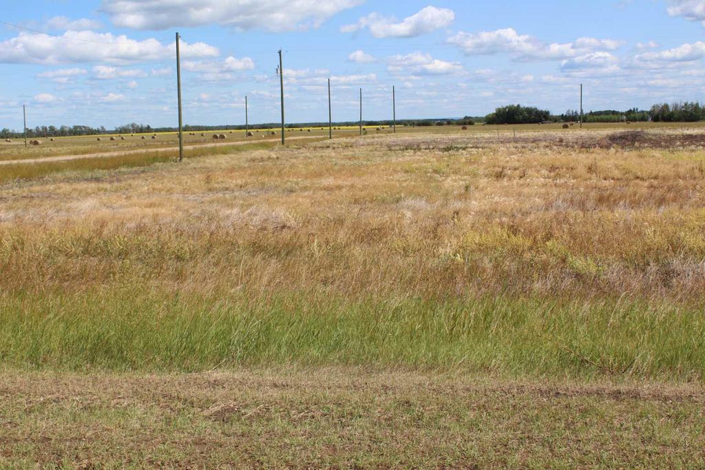 Photo of 903 Main Street, Manning, AB T0H 2M0 (MLS # A2019177)