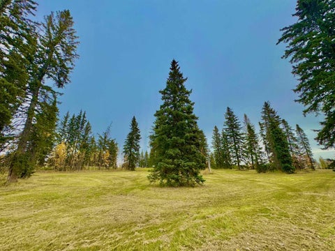 Photo of 309 Valley View Drive, Rural Clearwater County, AB T4T 1A7 (MLS # A2264698)