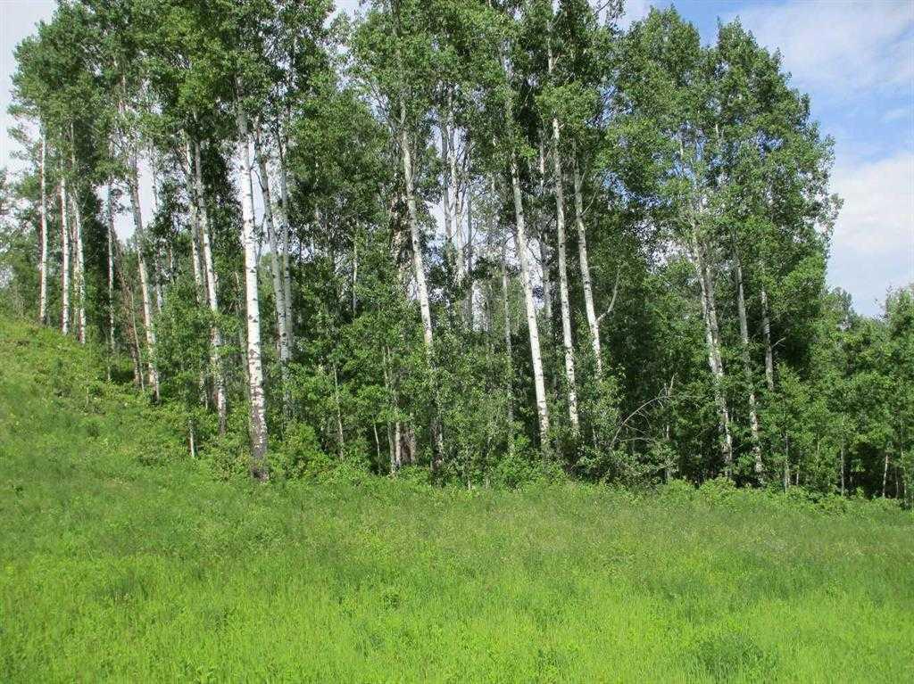 NW-9-89-21-W5 Deadwood