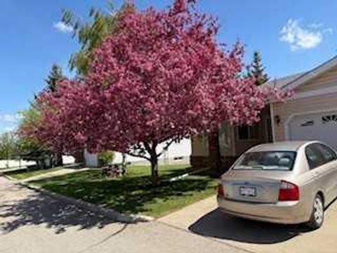 115 Macewan Park Heights NW Calgary AB T3K 3W6