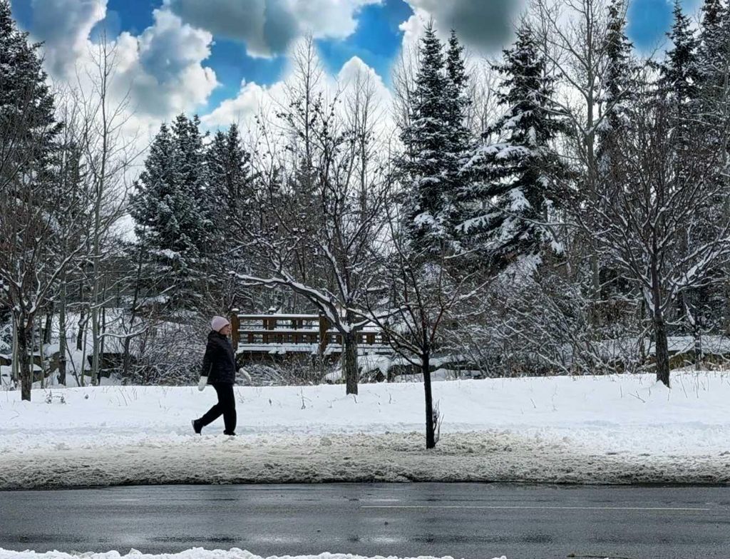 Photo of 2518 Fish Creek Boulevard SW #2117, Calgary, AB T2Y 4T6 (MLS # A2293223)