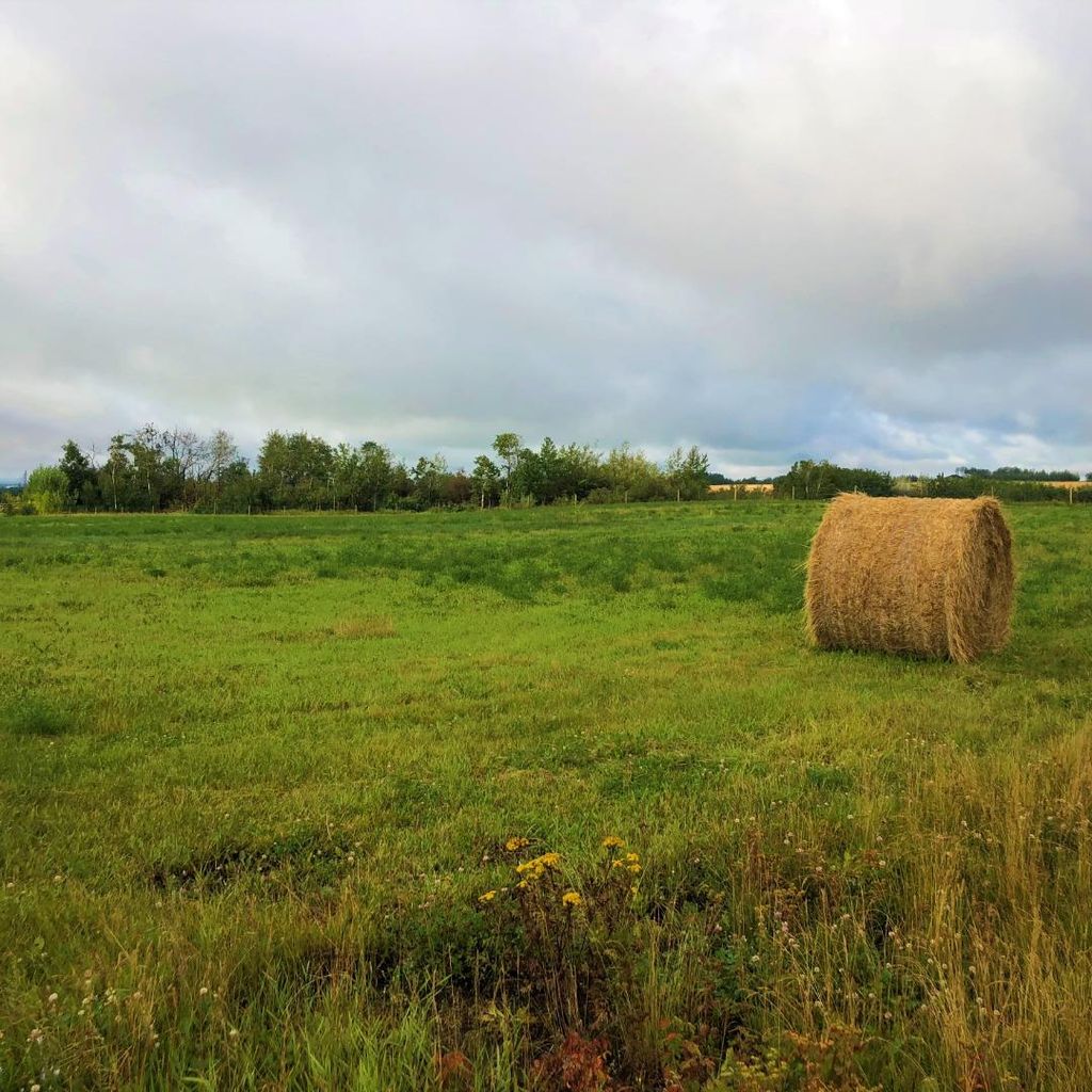 Photo of 42 713019 Range Road 71, Rural Grande Prairie No. 1, County of, AB T8W 5E9 (MLS # A2266769)