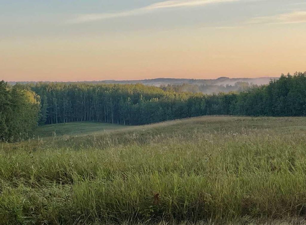 Photo of 57317A RR 42, Rural Lac Ste. Anne County, AB T7N 1A1 (MLS # A2287985)