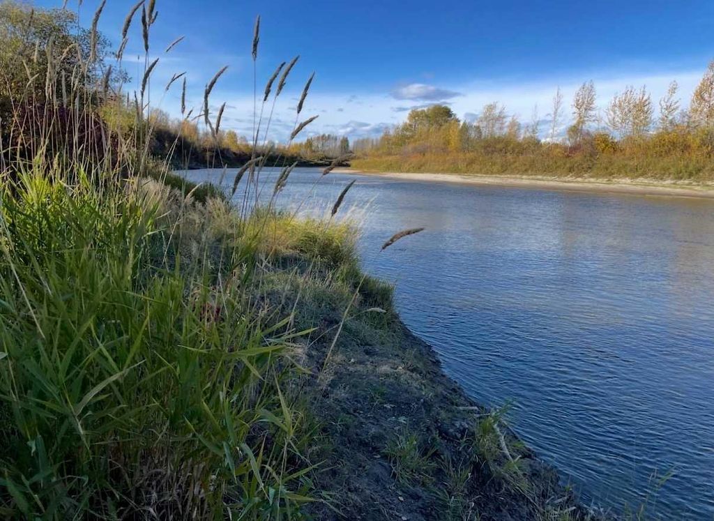 Photo of 57317A RR 42, Rural Lac Ste. Anne County, AB T7N 1A1 (MLS # A2287985)