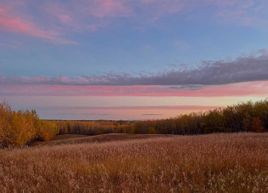 Photo of 57317A RR 42, Rural Lac Ste. Anne County, AB T7N 1A1 (MLS # A2287985)