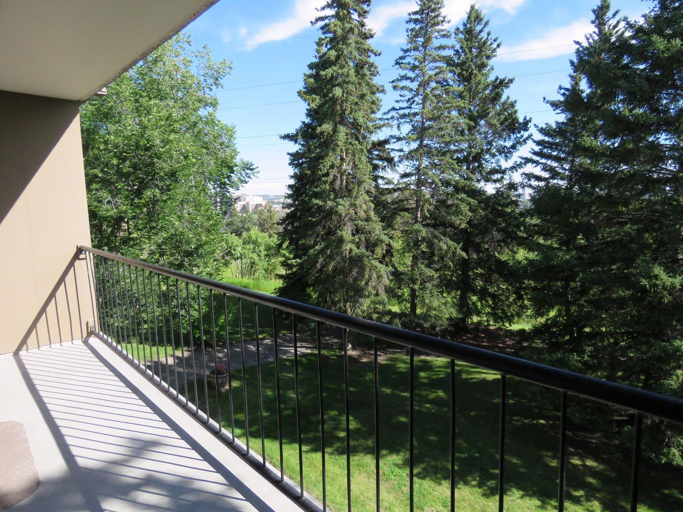 328 Cedar Crescent SW 204