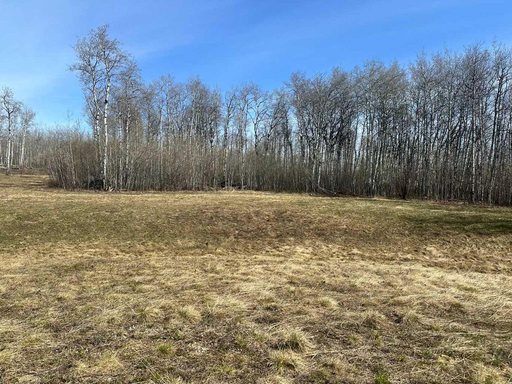 Photo of 90058b twp 720, Wembley, AB T0H 3S0 (MLS # A2308321)