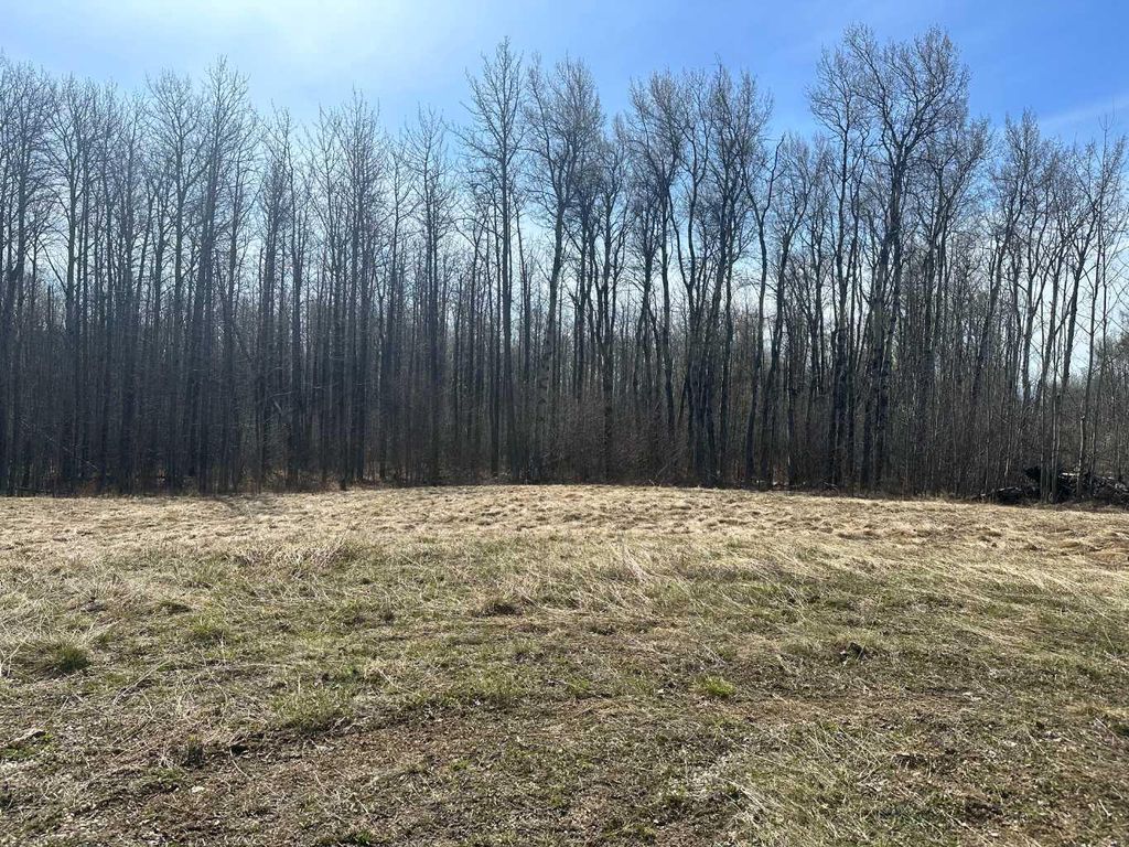 Photo of 90058b twp 720, Wembley, AB T0H 3S0 (MLS # A2308321)
