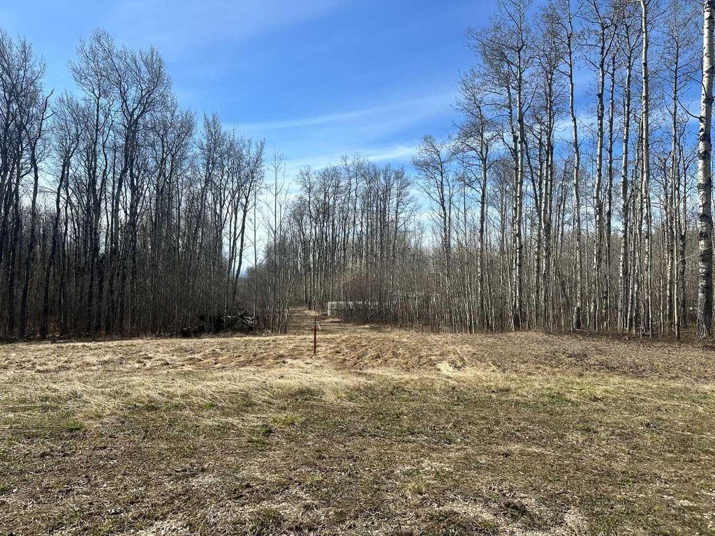 Photo of 90058b twp 720, Wembley, AB T0H 3S0 (MLS # A2308321)