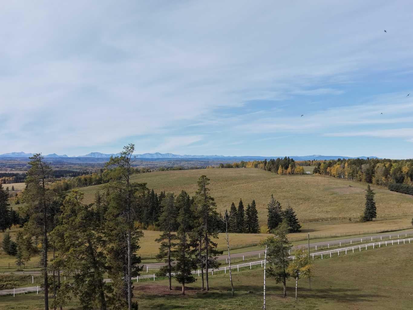 33139 Range Road 55 10