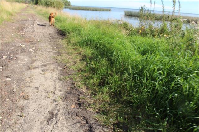 Lot 7 and 8 Campsite Road