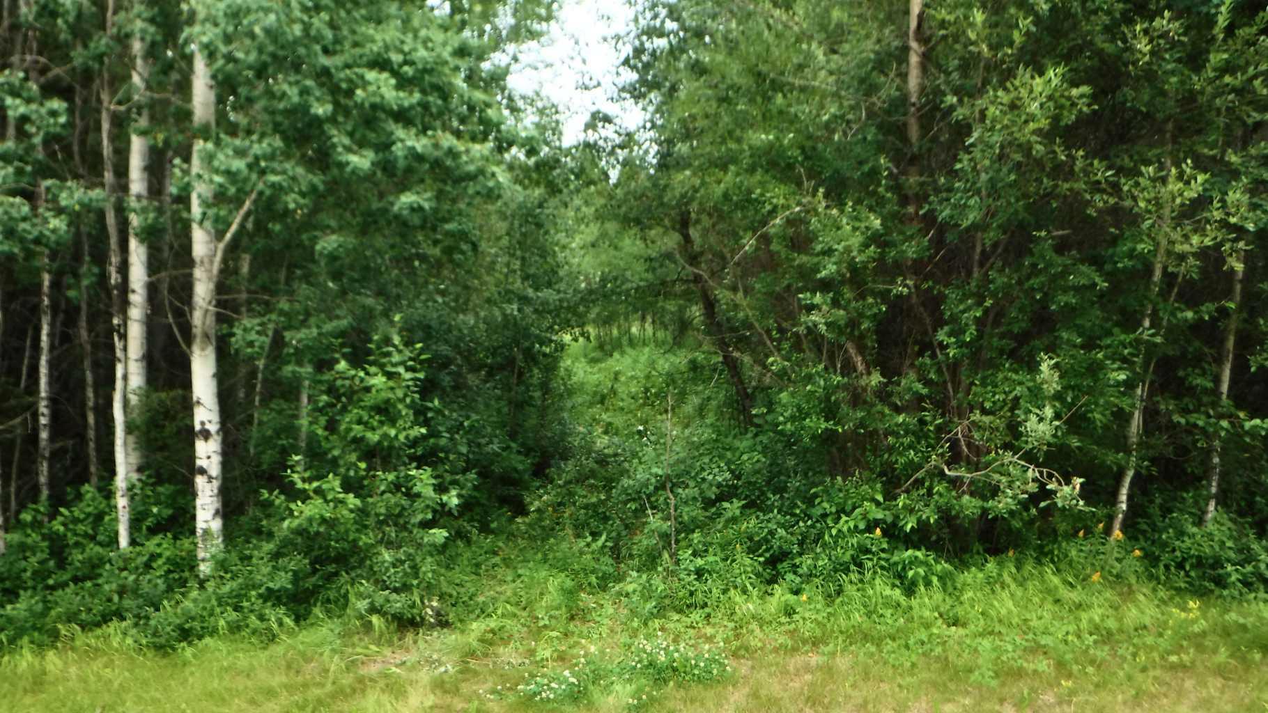 Range Road 231
