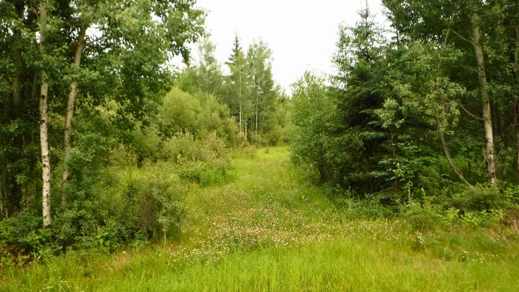 Range Road 231