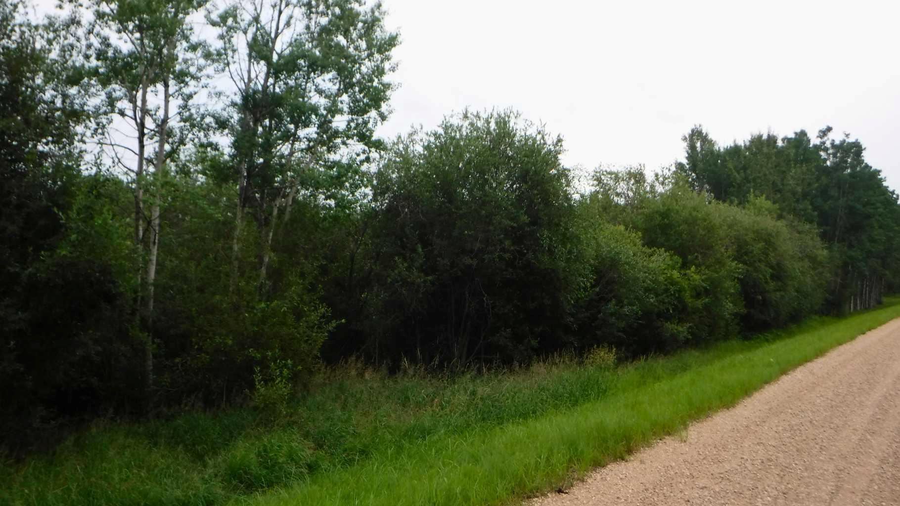 Range Road 231