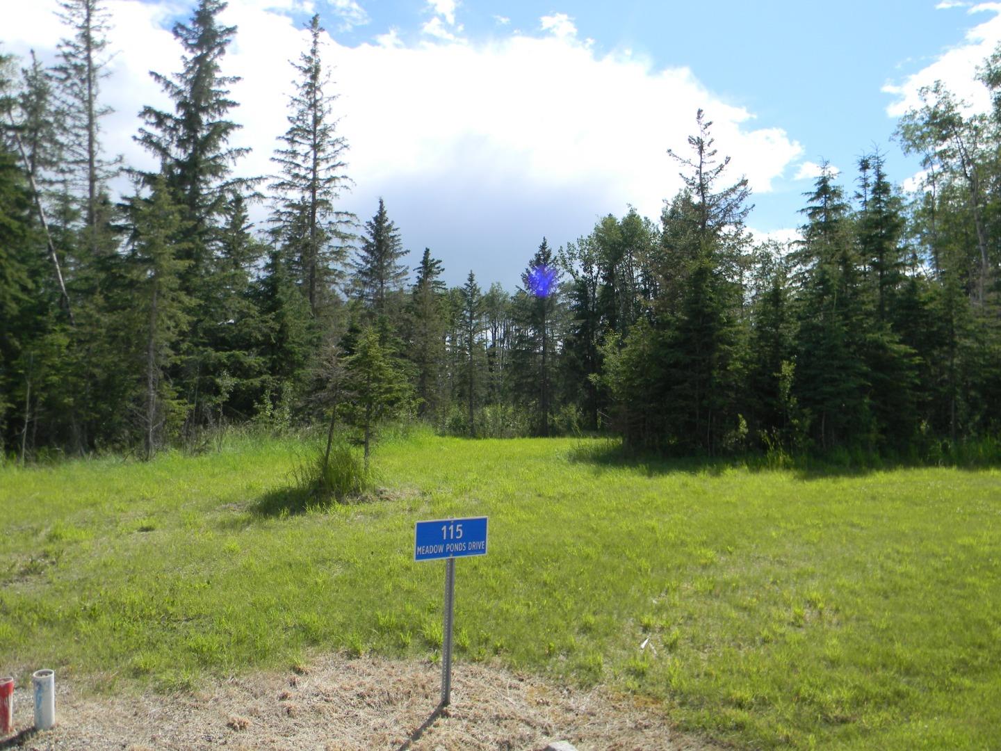 115 Meadow Ponds Drive