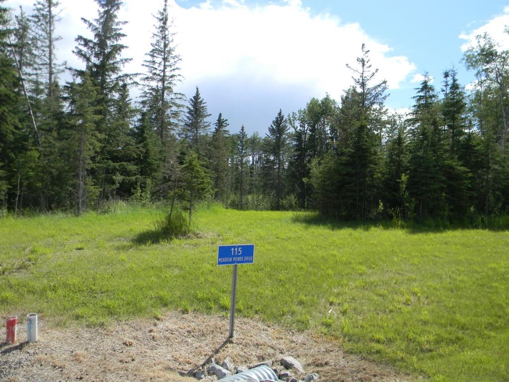 Photo of 115 Meadow Ponds Drive, Rural Clearwater County, AB T4T 1A7 (MLS # A1020971)