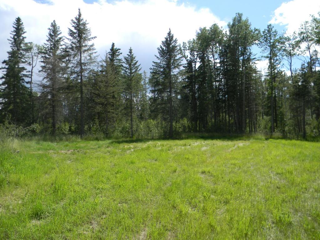 Photo of 115 Meadow Ponds Drive, Rural Clearwater County, AB T4T 1A7 (MLS # A1020971)