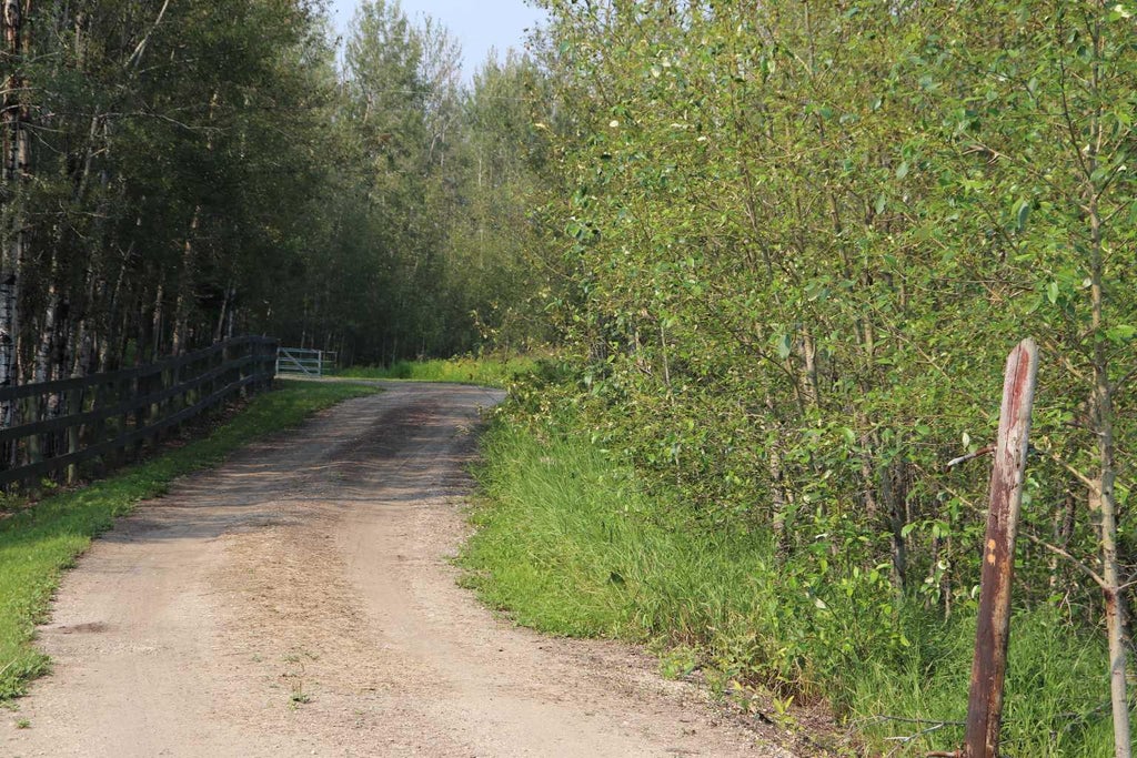 Photo of NE-26-53-10 Hwy 16W, Rural Yellowhead County, AB T0E 2M0 (MLS # A2320873)