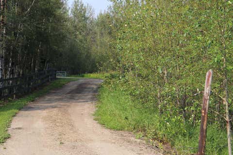 Photo of NE-26-53-10 Hwy 16W, Rural Yellowhead County, AB T0E 2M0 (MLS # A2320873)