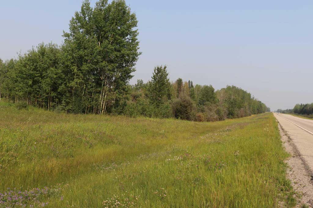 Photo of NE-26-53-10 Hwy 16W, Rural Yellowhead County, AB T0E 2M0 (MLS # A2320873)