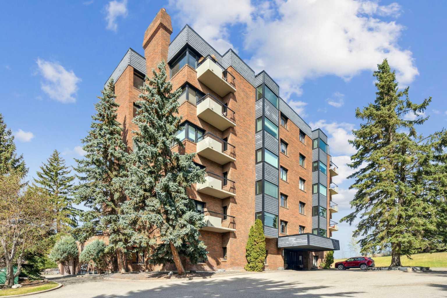 222 Eagle Ridge Drive SW 3N