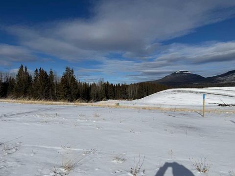 420 LILY Avenue Nordegg AB T0M 2H0