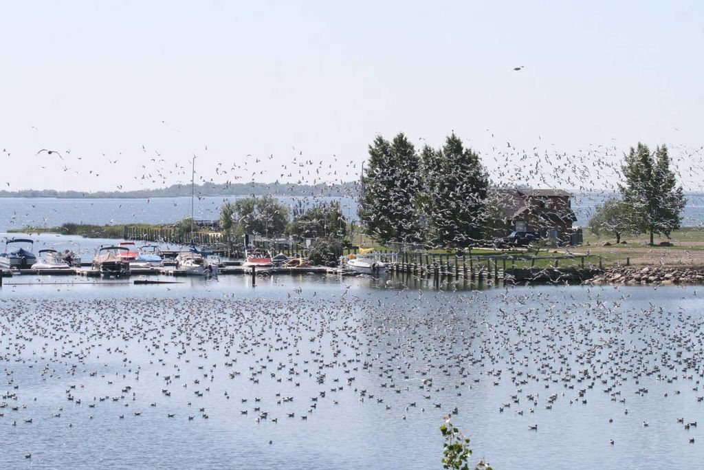 Photo of 95 white pelican View, Lake Newell Resort, AB T1R 0V5 (MLS # A2289884)