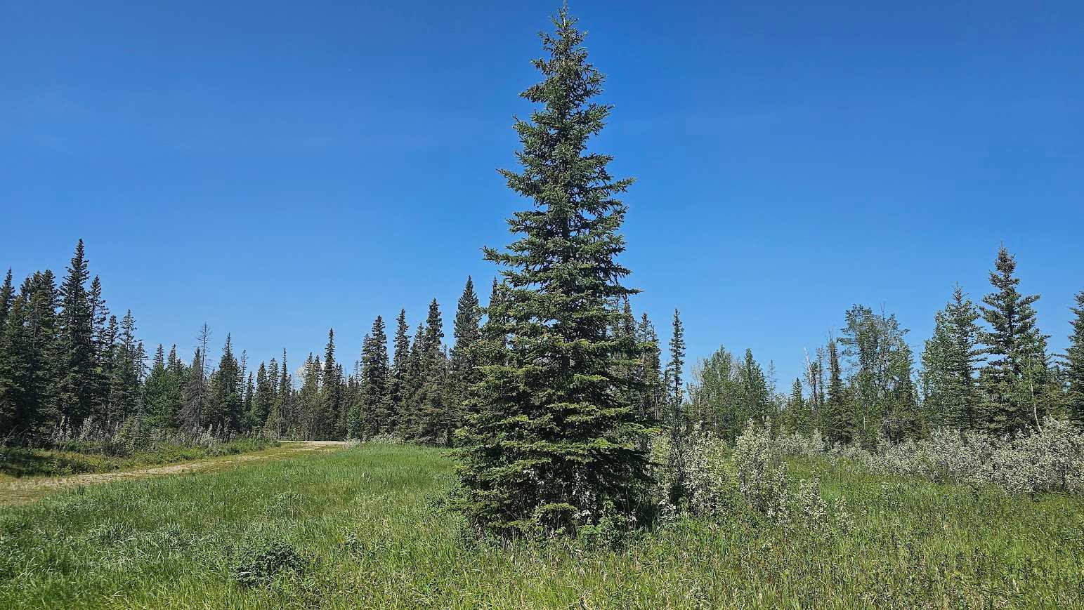 34364 Range Road 42 20