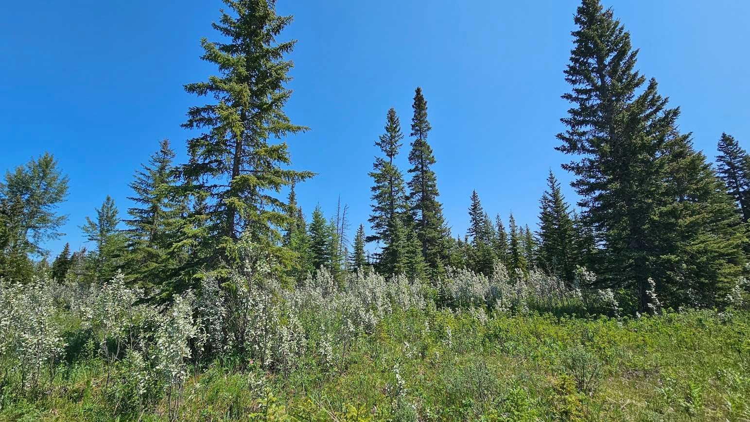 34364 Range Road 42 20