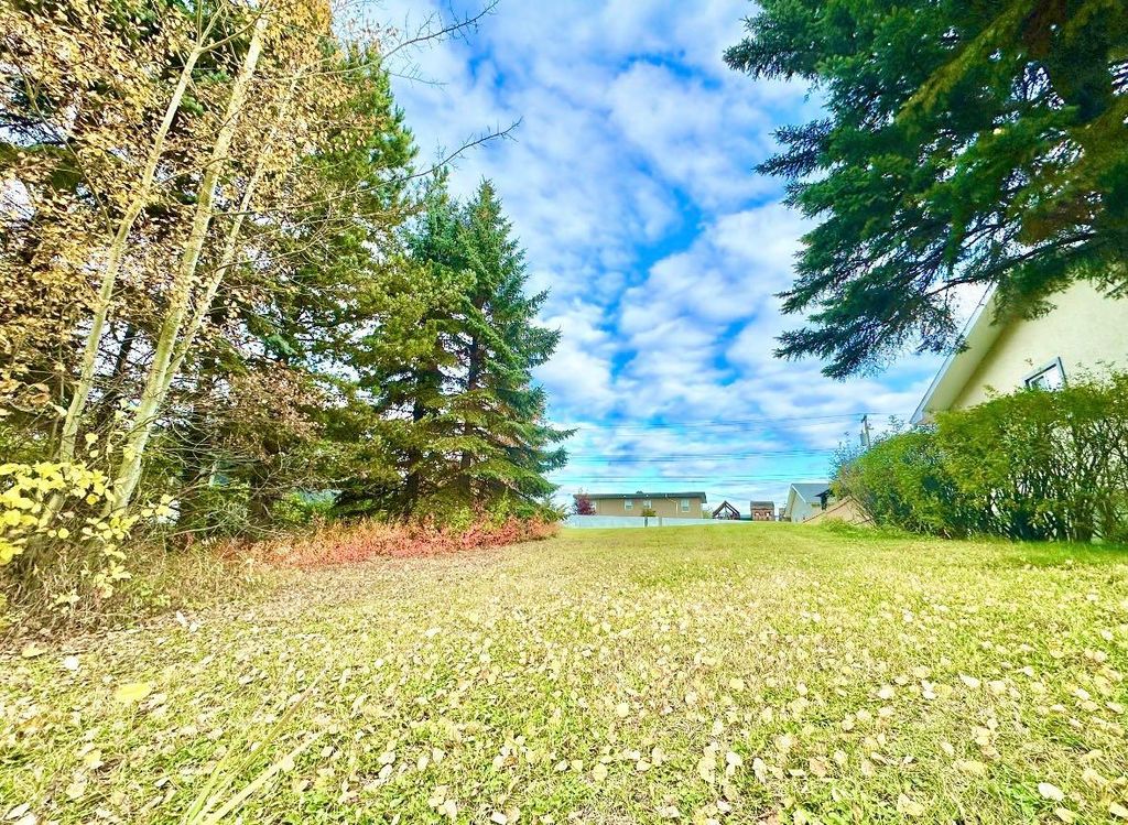 Photo of 10316 103 Ave, Lac La Biche, AB T0A 2C0 (MLS # A1207968)
