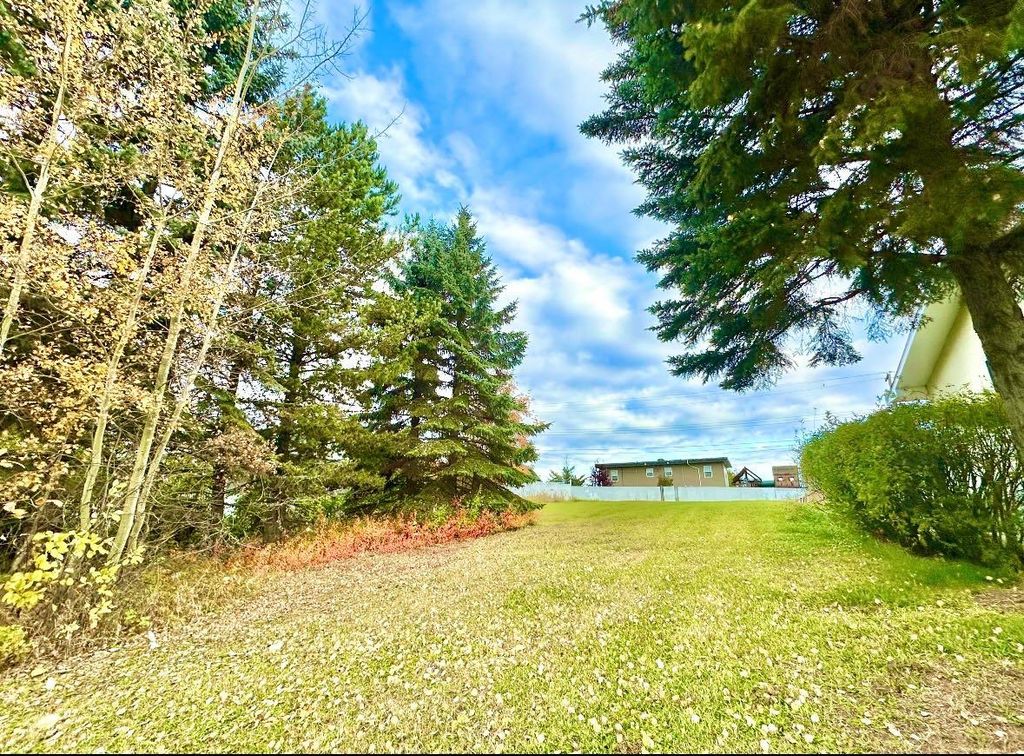 Photo of 10316 103 Ave, Lac La Biche, AB T0A 2C0 (MLS # A1207968)
