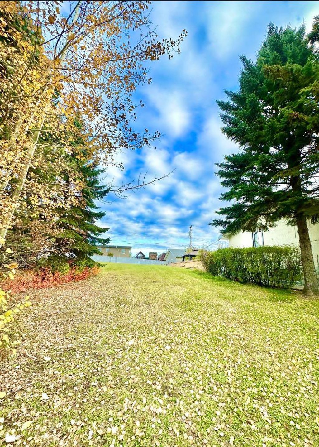 Photo of 10316 103 Ave, Lac La Biche, AB T0A 2C0 (MLS # A1207968)
