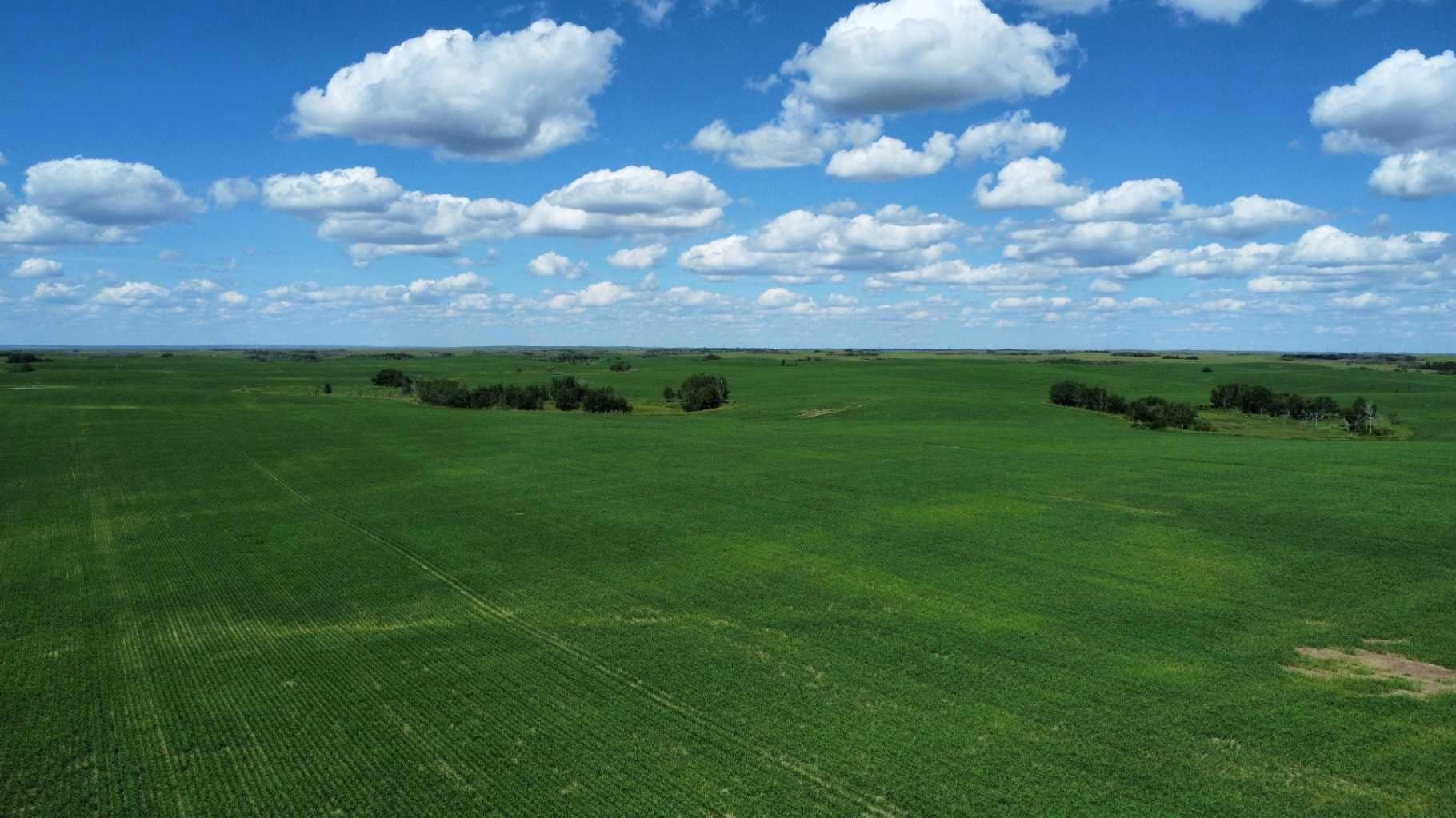 6,133 Acres