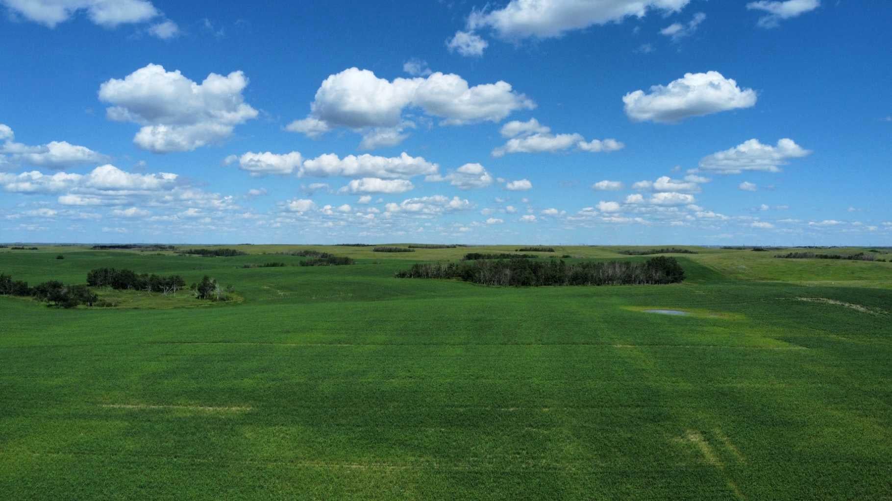 6,133 Acres