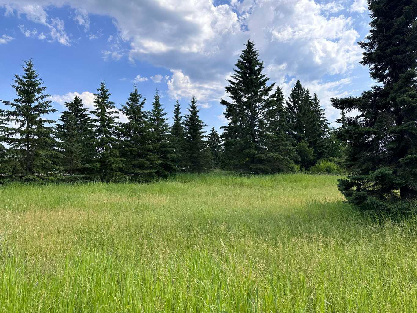 106, 15249 TWP RD 665A Township