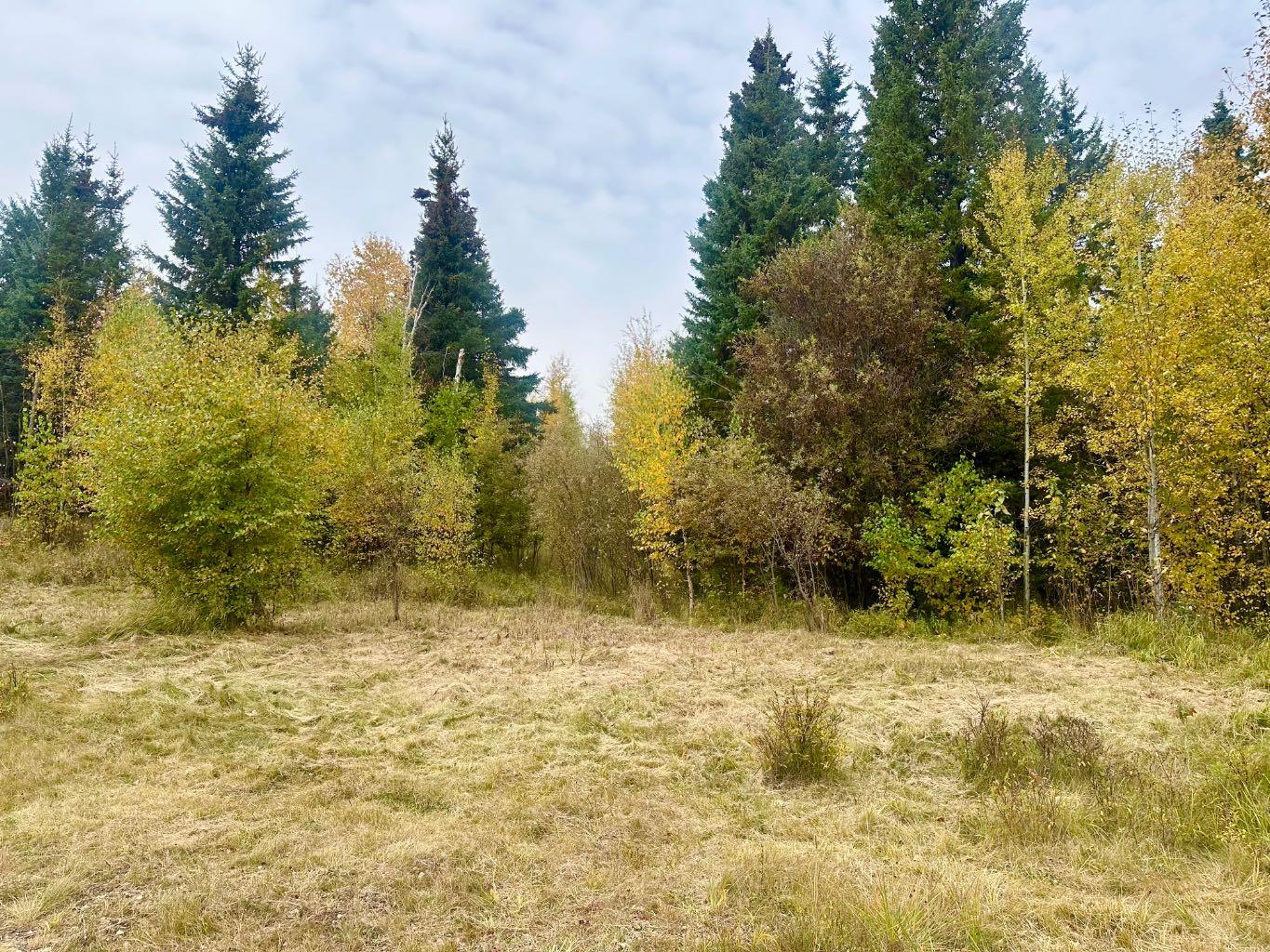 Lot 1 Mountain Springs