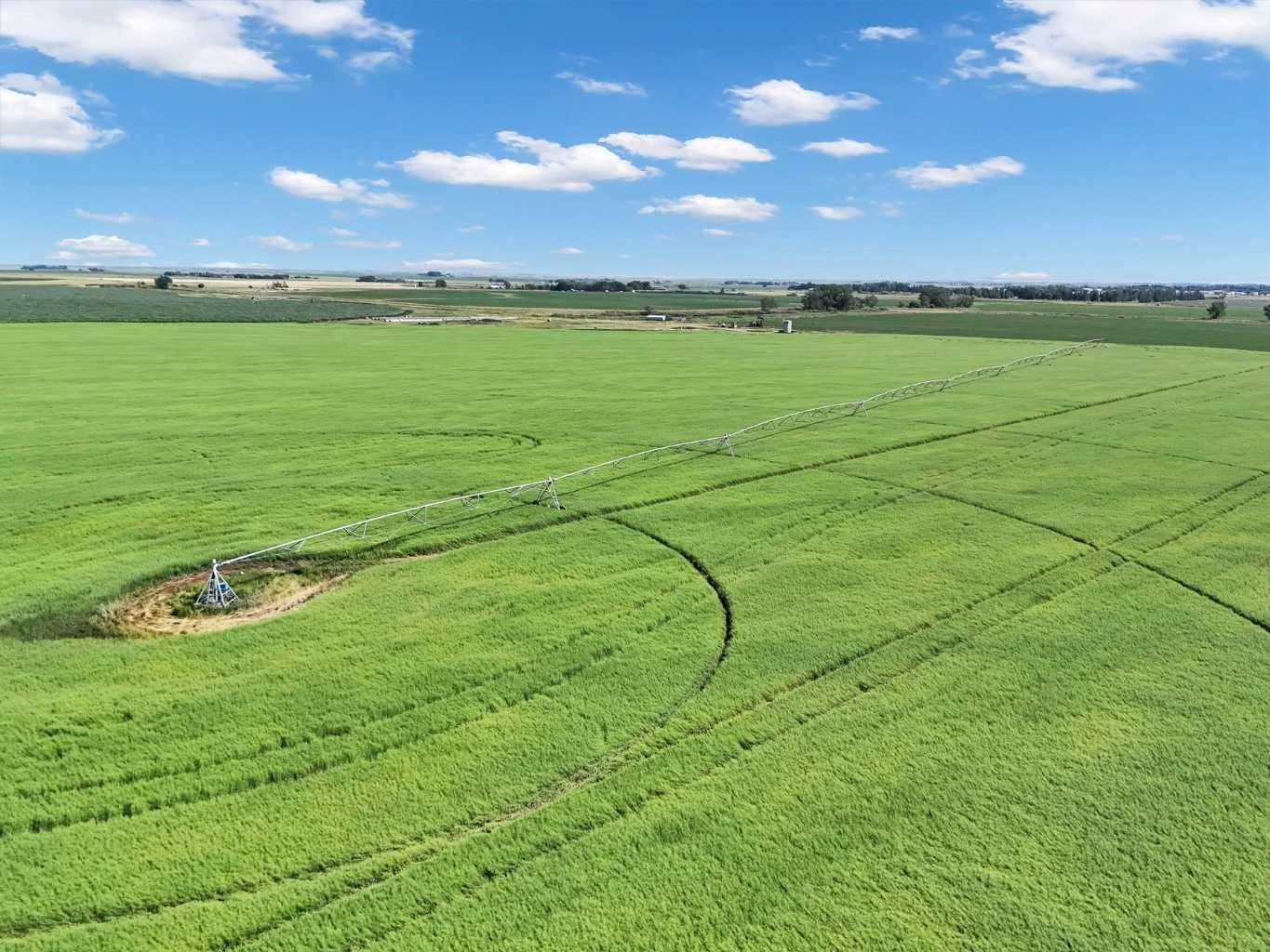 S of Township Rd 212 W of Range Road 144